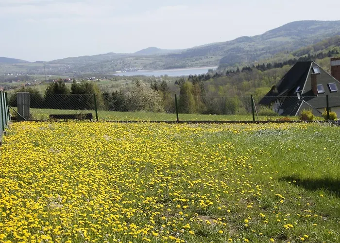 Tadeusz 山林小屋 *