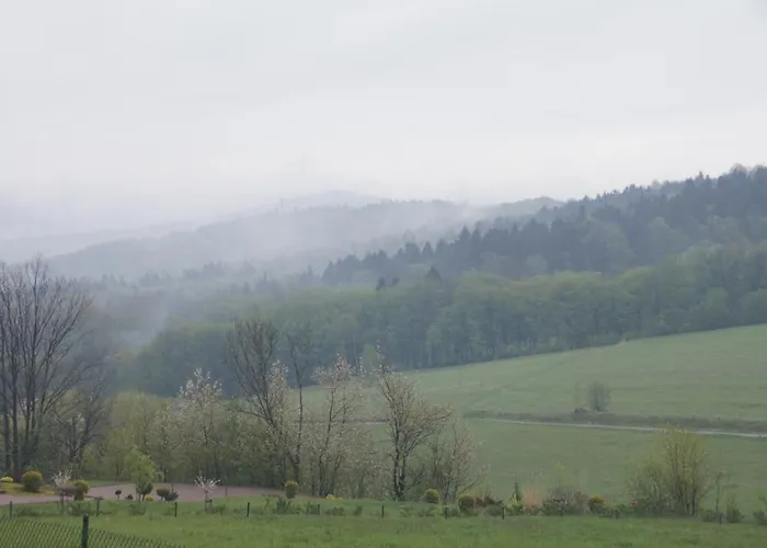 Tadeusz 山林小屋