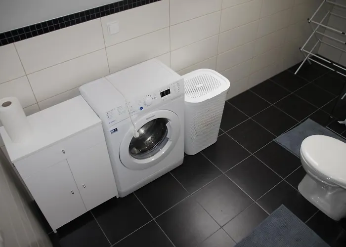 Tadeusz 山林小屋 *