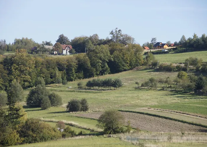 Tadeusz Sleszowice (Sucha)